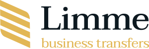 Welcome to V VIP Limousine Service 
